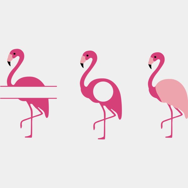 flamingos Thumbnail