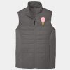 Collective Insulated Vest Thumbnail
