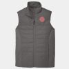 Collective Insulated Vest Thumbnail