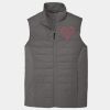 Collective Insulated Vest Thumbnail