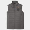 Collective Insulated Vest Thumbnail