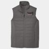Collective Insulated Vest Thumbnail