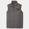 Collective Insulated Vest Thumbnail
