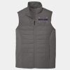 Collective Insulated Vest Thumbnail