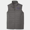 Collective Insulated Vest Thumbnail