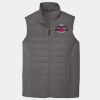 Collective Insulated Vest Thumbnail