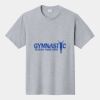 P&C Unisex 4.5oz Fan Favorite Cotton T-Shirt PC450 Thumbnail