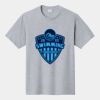 P&C Unisex 4.5oz Fan Favorite Cotton T-Shirt PC450 Thumbnail