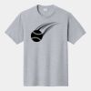 P&C Unisex 4.5oz Fan Favorite Cotton T-Shirt PC450 Thumbnail