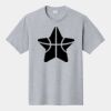 P&C Unisex 4.5oz Fan Favorite Cotton T-Shirt PC450 Thumbnail