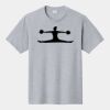 P&C Unisex 4.5oz Fan Favorite Cotton T-Shirt PC450 Thumbnail