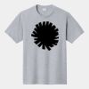 P&C Unisex 4.5oz Fan Favorite Cotton T-Shirt PC450 Thumbnail