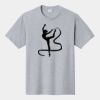 P&C Unisex 4.5oz Fan Favorite Cotton T-Shirt PC450 Thumbnail