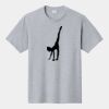 P&C Unisex 4.5oz Fan Favorite Cotton T-Shirt PC450 Thumbnail