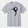 P&C Unisex 4.5oz Fan Favorite Cotton T-Shirt PC450 Thumbnail