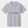 P&C Unisex 4.5oz Fan Favorite Cotton T-Shirt PC450 Thumbnail