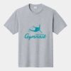 P&C Unisex 4.5oz Fan Favorite Cotton T-Shirt PC450 Thumbnail