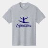 P&C Unisex 4.5oz Fan Favorite Cotton T-Shirt PC450 Thumbnail
