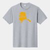 P&C Unisex 4.5oz Fan Favorite Cotton T-Shirt PC450 Thumbnail