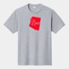 P&C Unisex 4.5oz Fan Favorite Cotton T-Shirt PC450 Thumbnail
