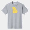 P&C Unisex 4.5oz Fan Favorite Cotton T-Shirt PC450 Thumbnail