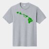 P&C Unisex 4.5oz Fan Favorite Cotton T-Shirt PC450 Thumbnail
