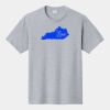 P&C Unisex 4.5oz Fan Favorite Cotton T-Shirt PC450 Thumbnail