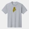 P&C Unisex 4.5oz Fan Favorite Cotton T-Shirt PC450 Thumbnail