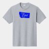 P&C Unisex 4.5oz Fan Favorite Cotton T-Shirt PC450 Thumbnail