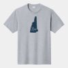 P&C Unisex 4.5oz Fan Favorite Cotton T-Shirt PC450 Thumbnail