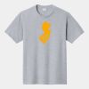 P&C Unisex 4.5oz Fan Favorite Cotton T-Shirt PC450 Thumbnail