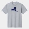 P&C Unisex 4.5oz Fan Favorite Cotton T-Shirt PC450 Thumbnail