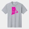 P&C Unisex 4.5oz Fan Favorite Cotton T-Shirt PC450 Thumbnail