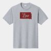 P&C Unisex 4.5oz Fan Favorite Cotton T-Shirt PC450 Thumbnail