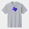 P&C Unisex 4.5oz Fan Favorite Cotton T-Shirt PC450 Thumbnail