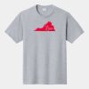P&C Unisex 4.5oz Fan Favorite Cotton T-Shirt PC450 Thumbnail