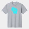 P&C Unisex 4.5oz Fan Favorite Cotton T-Shirt PC450 Thumbnail