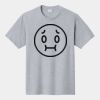 P&C Unisex 4.5oz Fan Favorite Cotton T-Shirt PC450 Thumbnail