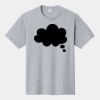 P&C Unisex 4.5oz Fan Favorite Cotton T-Shirt PC450 Thumbnail