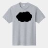 P&C Unisex 4.5oz Fan Favorite Cotton T-Shirt PC450 Thumbnail