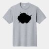 P&C Unisex 4.5oz Fan Favorite Cotton T-Shirt PC450 Thumbnail