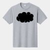 P&C Unisex 4.5oz Fan Favorite Cotton T-Shirt PC450 Thumbnail