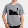PC Youth Cotton Fan Favorite T-Shirt Thumbnail