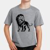 PC Youth Cotton Fan Favorite T-Shirt Thumbnail