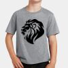 PC Youth Cotton Fan Favorite T-Shirt Thumbnail
