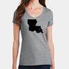 PC Ladies Fan Favorite V-Neck T-Shirt Thumbnail
