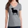 PC Ladies Fan Favorite V-Neck T-Shirt Thumbnail