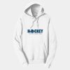 Adult Fan Favorite Hooded Sweatshirt Thumbnail