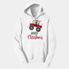 Adult Fan Favorite Hooded Sweatshirt Thumbnail