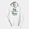 Adult Fan Favorite Hooded Sweatshirt Thumbnail